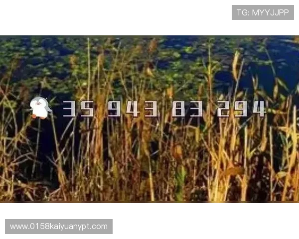 欧博包杀网一比一：一比一包杀技术在网络游戏中的实际操作与效果评测